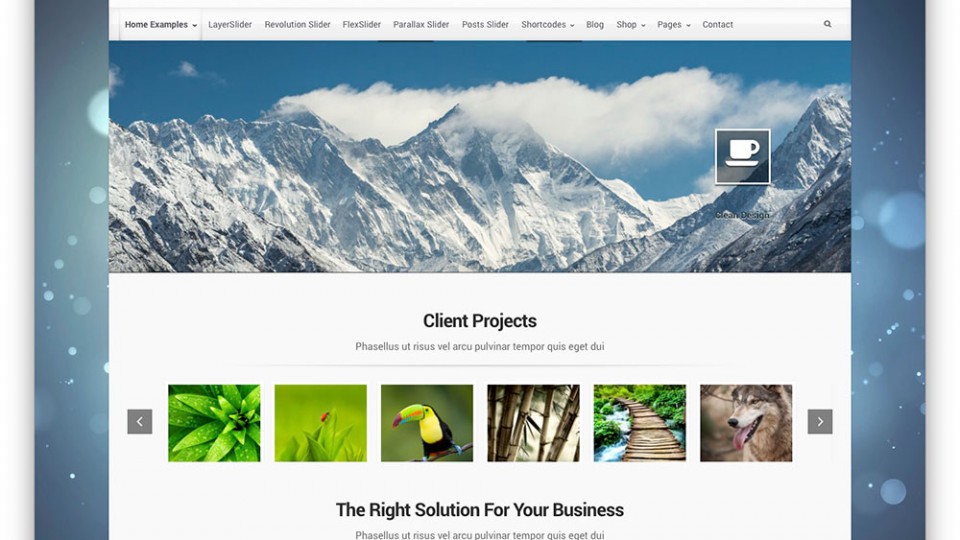 Evolve Themes Download