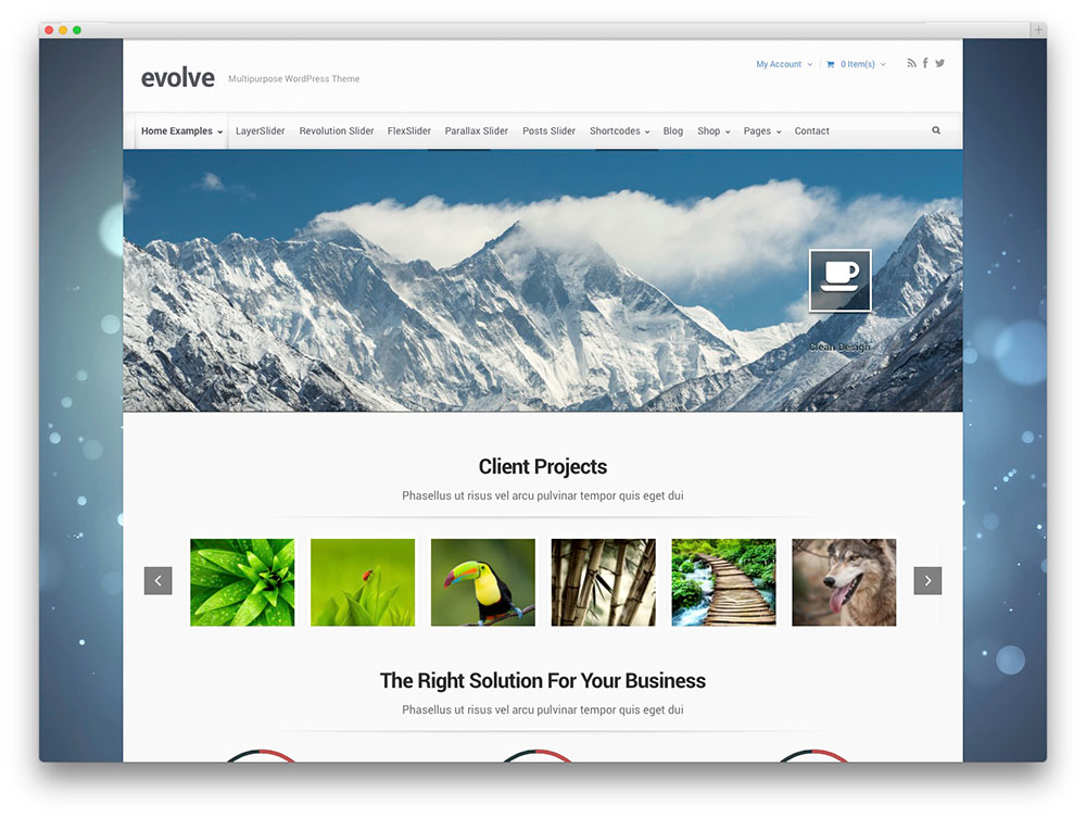 Evolve Themes Download