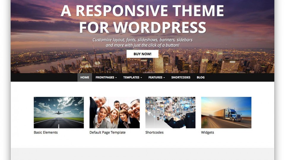 WP Simple