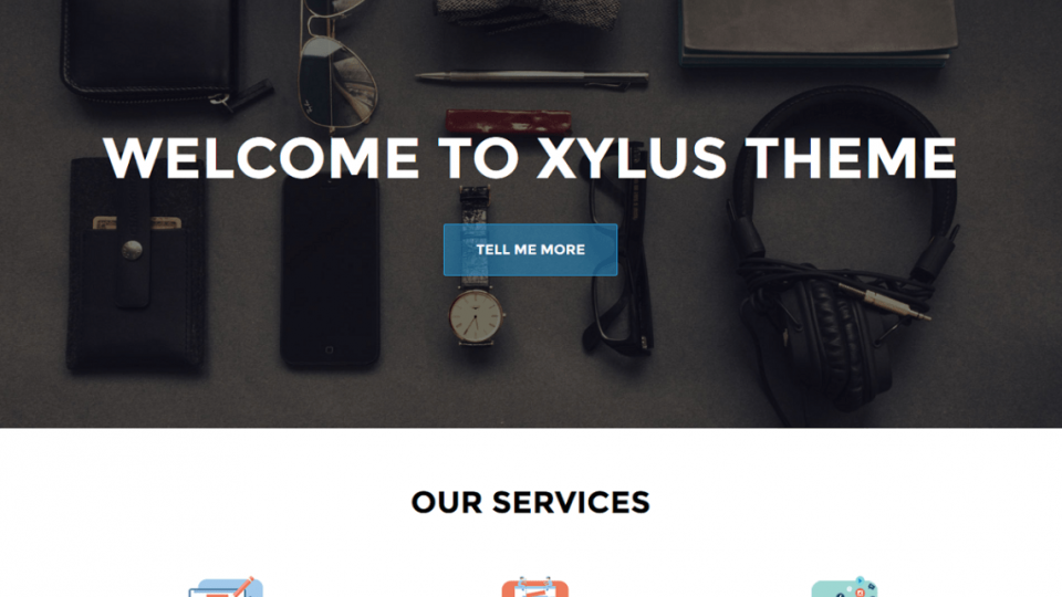 XT Corporate lite WordPress Theme