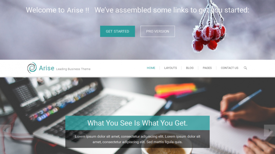 Arise WordPress Theme
