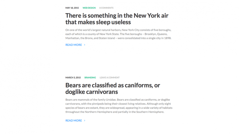 Reyl Lite WordPress Theme