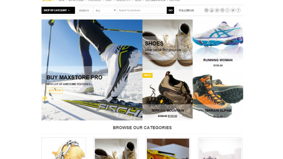 MaxStore WordPress Theme
