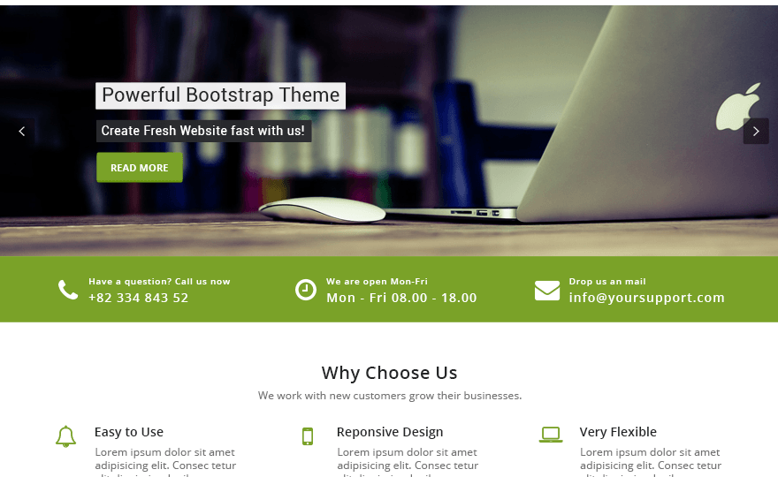 Appointment Green WordPress Theme