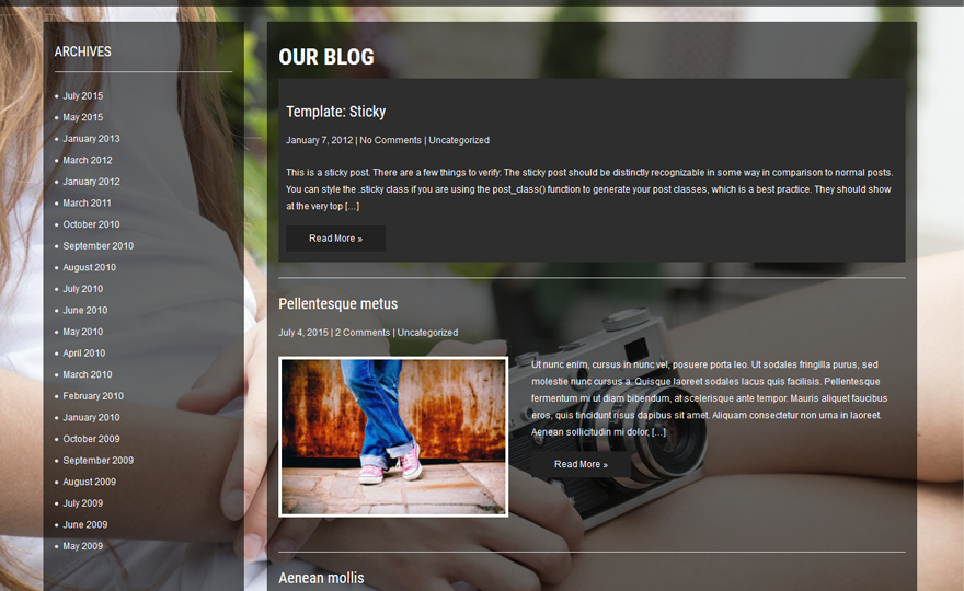 FashionBuzz WordPress theme