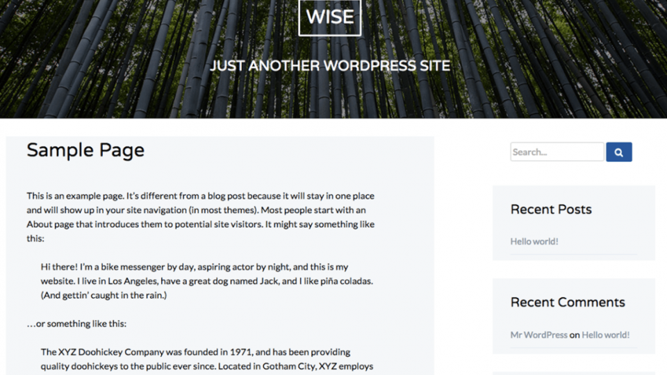 Wise WordPress Theme Download