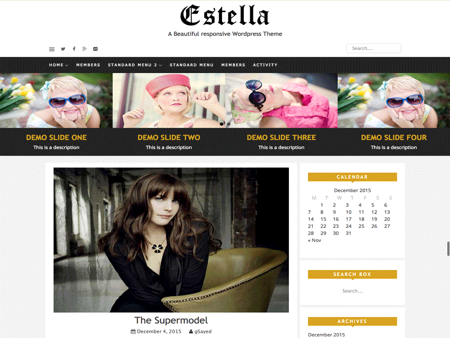 Estella WordPress Theme