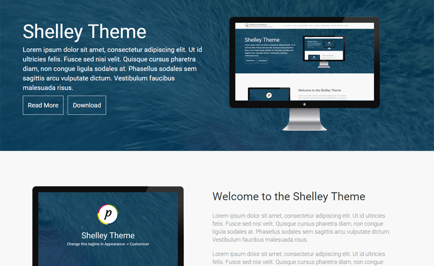 Shelley WordPress Theme