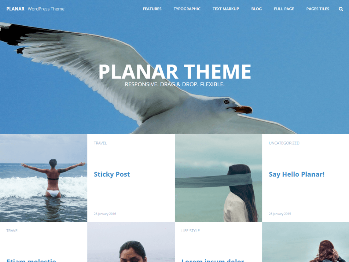 Planar Lite WordPress Themes