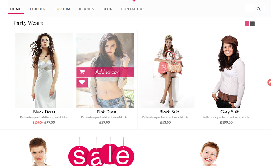 FashStore WordPress Theme Download
