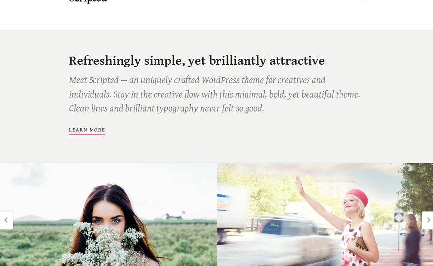 Scripted WordPress Theme Download