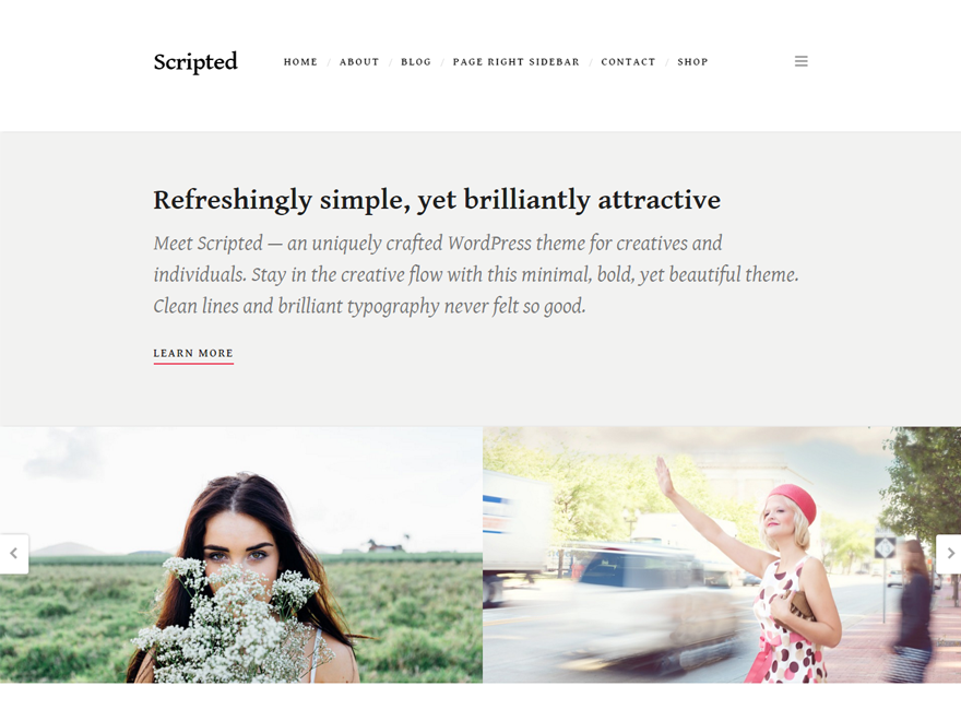 Scripted WordPress Theme Download