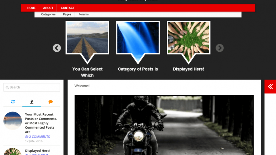 Sturdy WordPress Theme