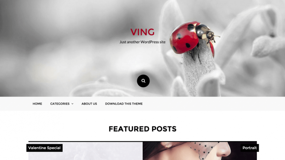 Ving WordPress Theme