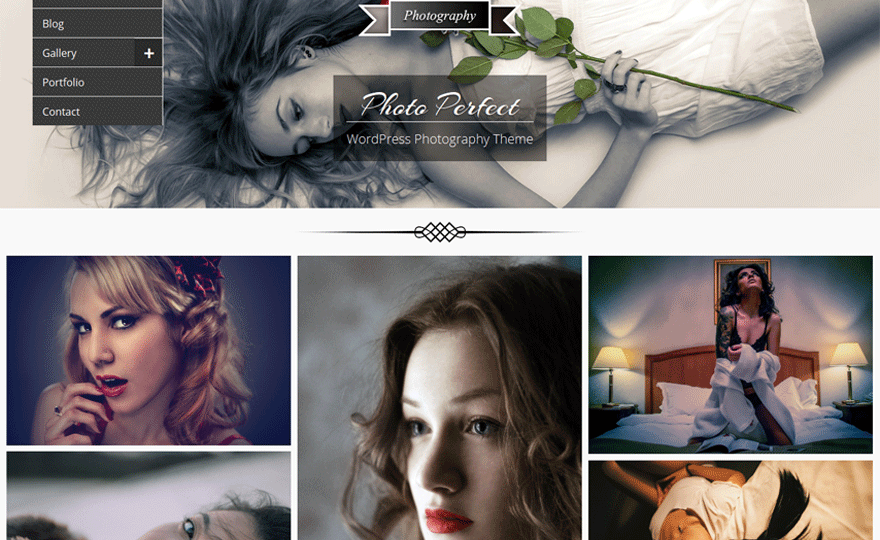 Photo Perfect Theme Download