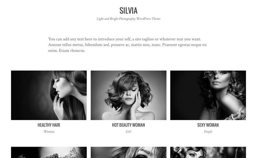 Silvia WordPress Theme