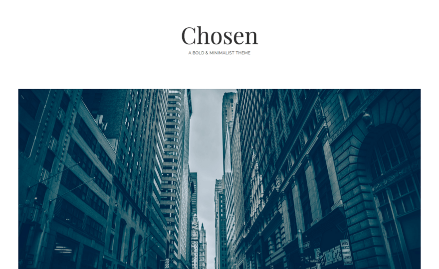 Chosen WordPress Theme