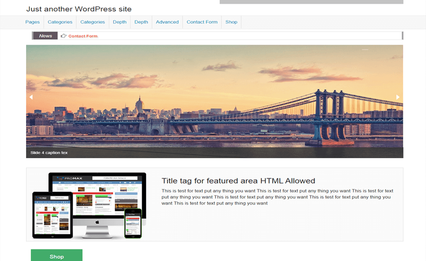 iShop WordPress Theme