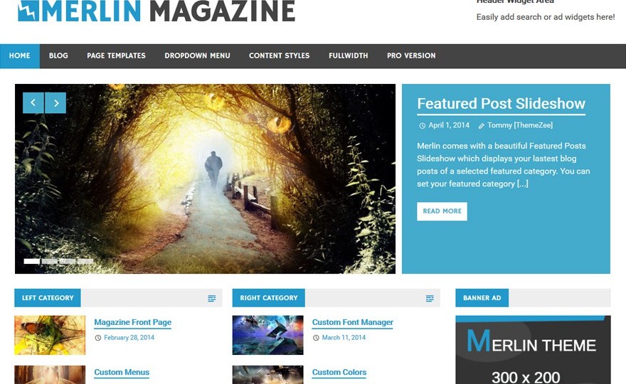Merlin WordPress Theme