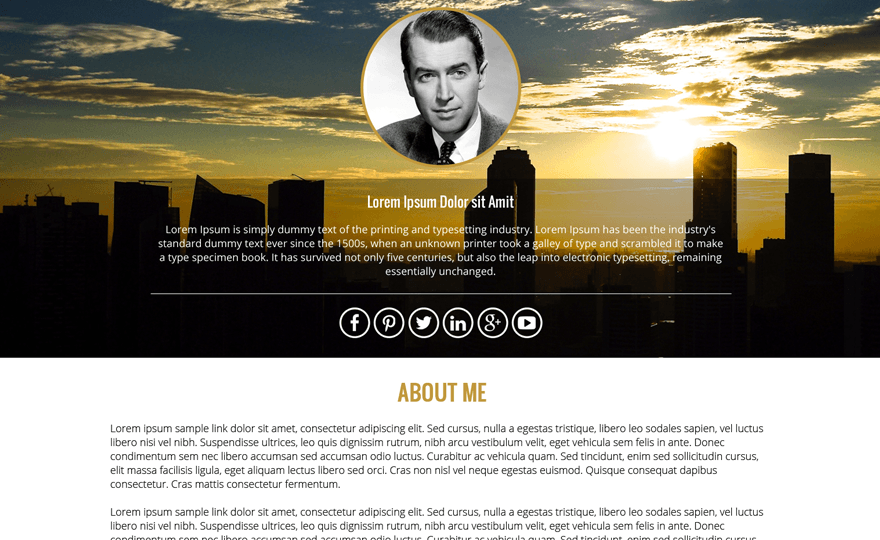 WP Profile
