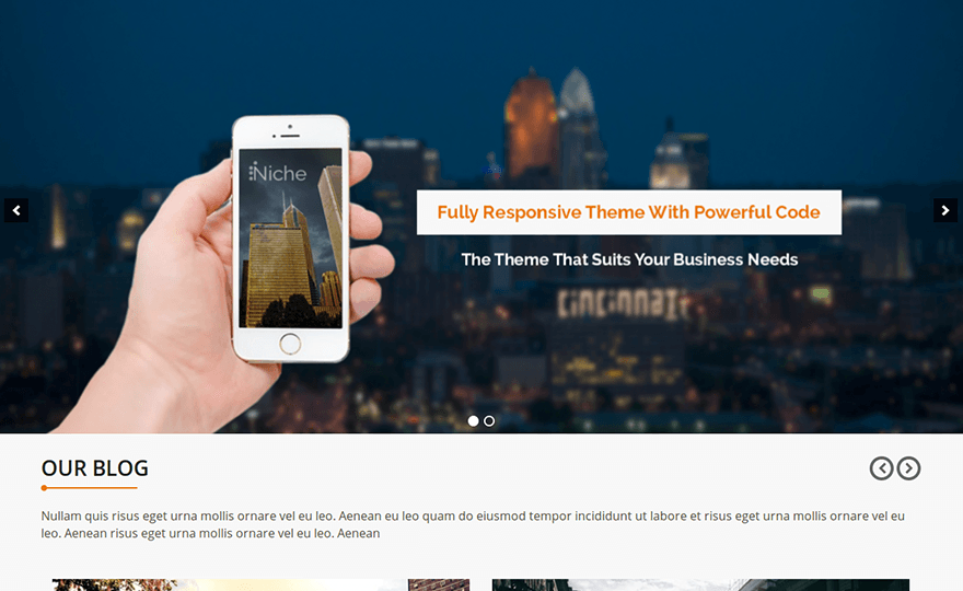 Niche WordPress Theme