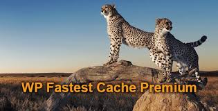 WP Fastest Cache Premium 1.5.5 – WordPress Cache Plugin Download
